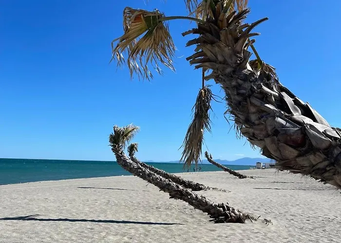 Le Bleu Soleil De Barcares Lägenhet *